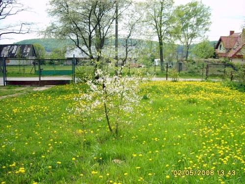 mojabudowa.pl - blog budowlany